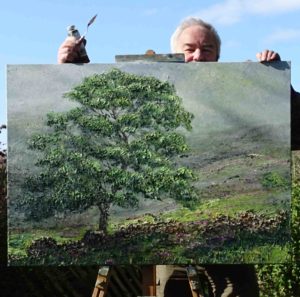 Perhaps only a seedling when the Bronte sisters wandered their local moorland, 'Haworth Moor Sycamore' depics a rare lone specimen near Bronte falls on a misty day. 40x30"