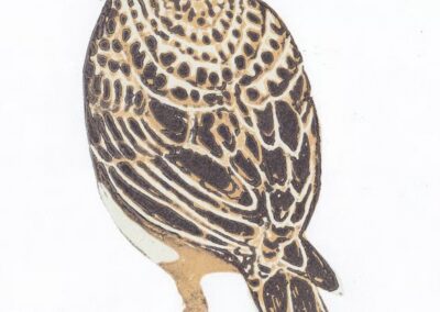 Alison Deegan AD45 'Skylark' Linoprint Mounted 40x30cm currently out of stock Framed 40x30 £70