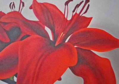 Amy Charlesworth AC006 'Red lillies' Oil on canvas 69x57cm £160