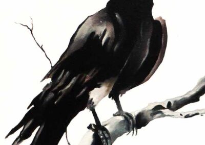 Amy Charlesworth AC166 'Counting Crows'