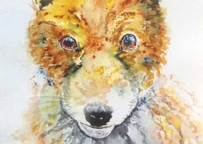Bev Parker BP360 Fox Cub Watercolour framed to 28x33cm £120