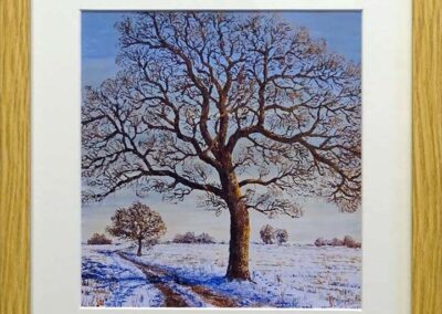 DS Framed Print Winter Oak, Hasholm, E. Yorks (ds315)29x30cm £40