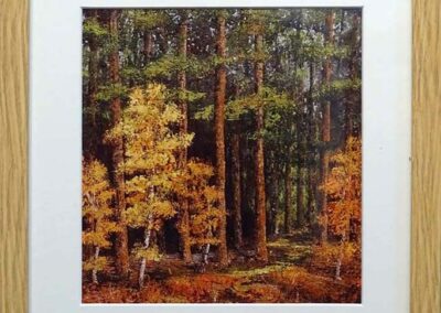 DS Framed Print. At the Forest's Edge (ds342) 29x30cm £40