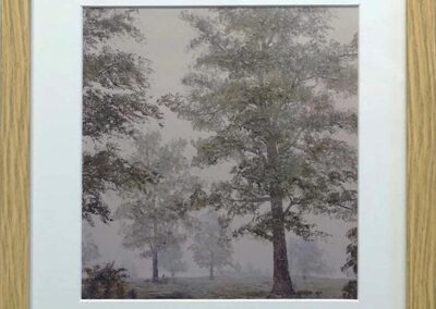 DS Framed Print. Autumn Mists (ds419) 29x30cm £40
