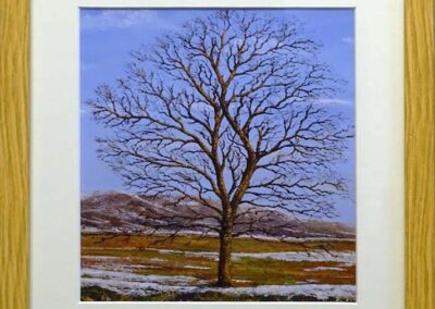 DS Framed Print. Dales Ash A Promise of Warmer Days Ahead (ds537) 29x30cm £40