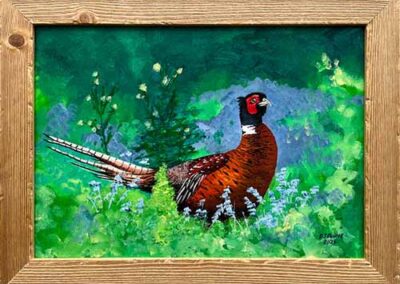 Darren Davies DAD01 'Proud Pheasant' Acrylic on canvas 16.5x12in £190lr