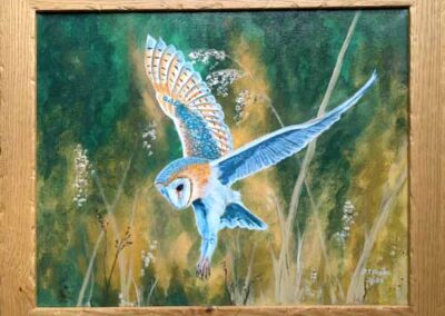 Darrell Davies DAD02 'Hunting Barn Owl' Acrylic on canvas 16.5x12in £190lr