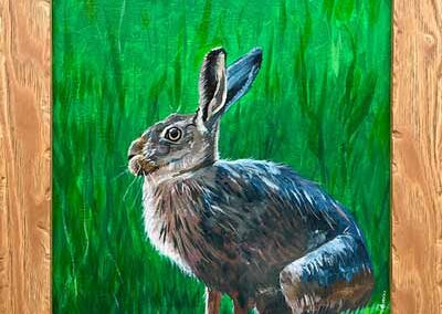 Darrell Davies DAD06 'Startled Hare' Acrylic on canvas 12x16.5in £190lr