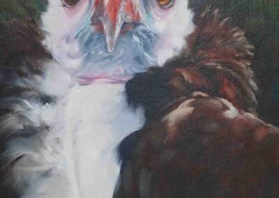 Denise Mitchell DM01 'White Headed Vulture' Oil 38.5x46.5cm £295