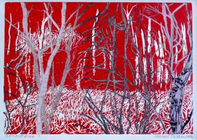 Heather Swain HSW01 'Saltaire Aire' Linoprint 50.6x40.6cm £75