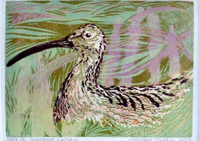 Heather Swain HSW23 'Yorkshire Curlew' 1of18 Linoprint 25x20cm £45