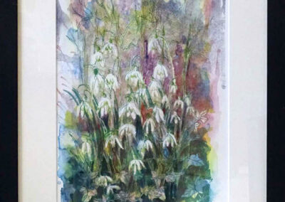 Jan Whittock JW16 Spring Snowdrops. Stone Litho Print 46x58cm Was £130 now £50