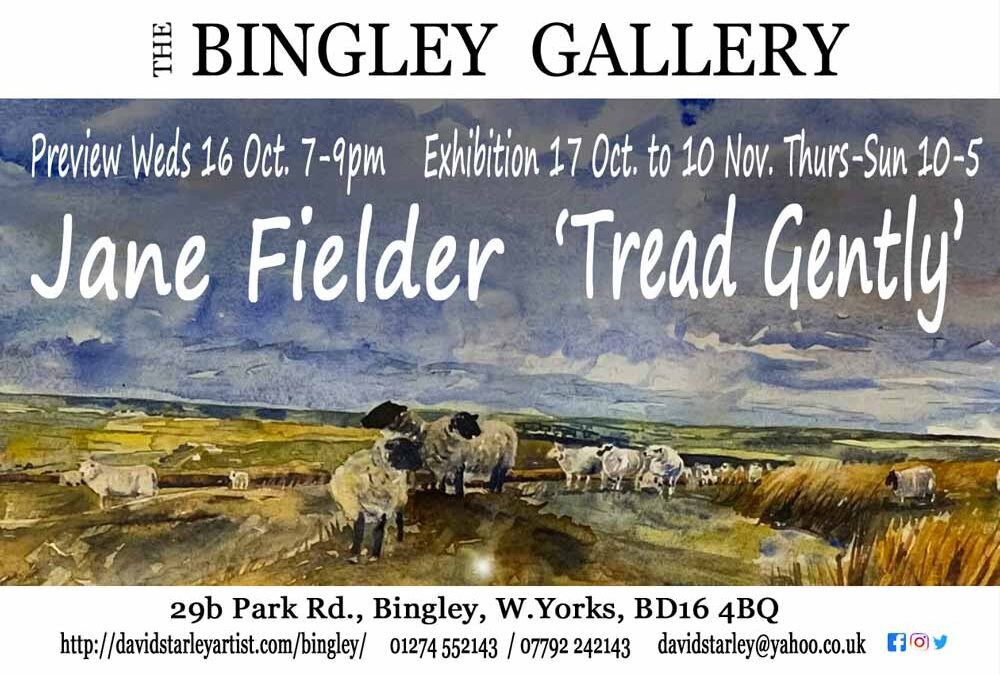 New Exhibition ‘Tread Gently’ Solo Show by Jane Fielder 17 Oct. to 10 Nov 2024