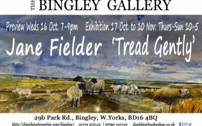 Previous Exhibition ‘Tread Gently’ Solo Show by Jane Fielder 17 Oct. to 10 Nov 2024