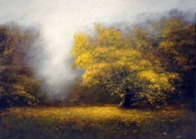 Judith Levin JL36 'Autumn Tree'. Oil on canvas. 24x34in £1200