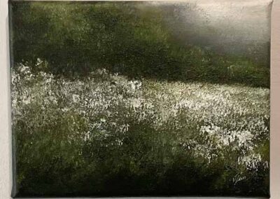 Judith Levin JL89 'Cow Parsley Meadow' Oil of Canvas 5x7ins £120