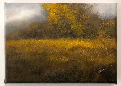 Judith Levin JL93 'Autumn Meadow' Oil of Canvas 5x7ins £120
