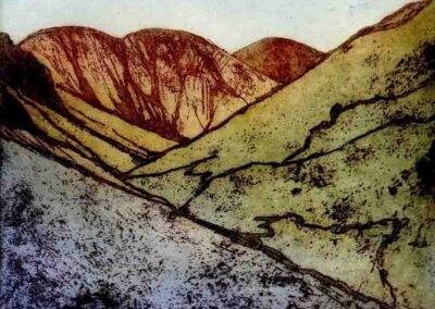 June Russell JR07 Whiteless Pike etching10of10 £125
