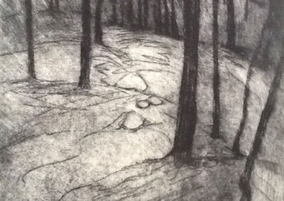 June Russell JR58 'Forest Floor' Drypoint Etching 1of4 34x40cm unframed £75