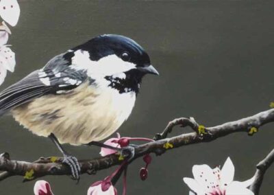 L Amy Charlesworth AC141 'Coal Tit on a Blossom Branch'oil 90x40cm £360 (framed)