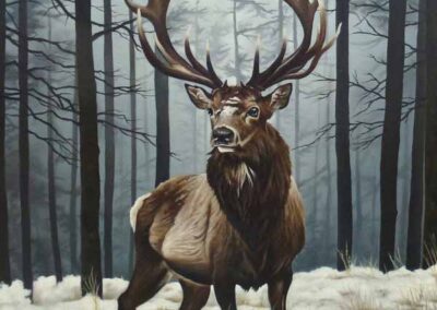 L Amy Charlesworth AC155 The Stag in Winter' 63 x63cm £520 Sold