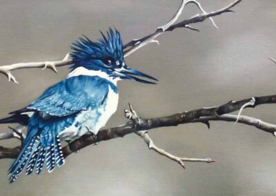 L Amy Charlesworth AC164 'Cerulean Kingfisher' 84.5 x 43.5cm £375 Framedlr