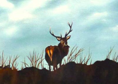 L Amy Charlesworth AC165 '3 Red Deer' 89.5 x 39.5cm £350lr Framed
