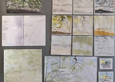Lis Holt 'Studies for Tree Protection' mixed media n.f.s