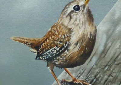 'Little-Wren'-22-x-22cm-SOLD
