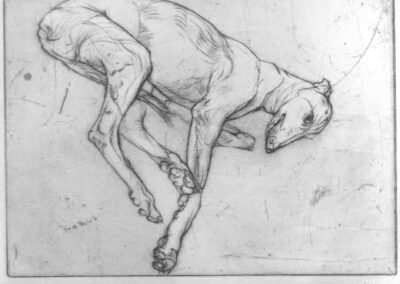 Mike Moor MM08 'Resting Greyhound' drypoint unframed £65