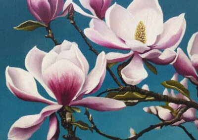 'Pink-Magnolia'-oil--40.5-x-40-£220-lr