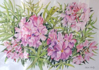 Stella Verity SV16 'Oleander' watercolour 70x50cm £180
