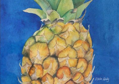 Stella Verity SV18 'Pineapple' watercolour 50x40cm £120