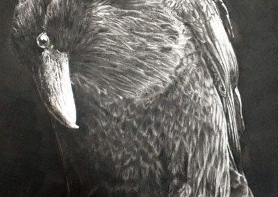 Tracey Waddington TW03 'The Visitor' pencil charcoal carbon pastel framed to 58cmx45cm £450 lr