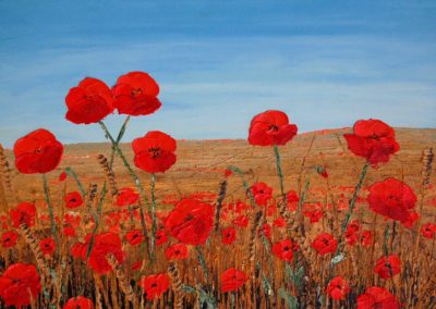 ds205 'Poppies and Wheat' 2011 30x20" £160