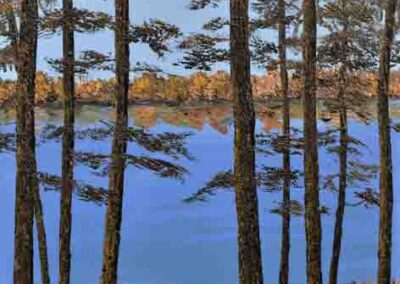 ds448 Windermere Pines 2 24x24 SOLD