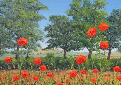 ds468 Poppyfield and Hedgerow 36x24 in £200
