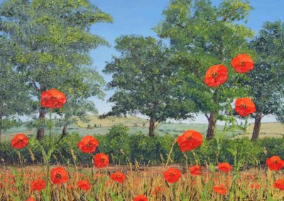 ds468 'Poppyfield and Hedgerow' 36x24" £380