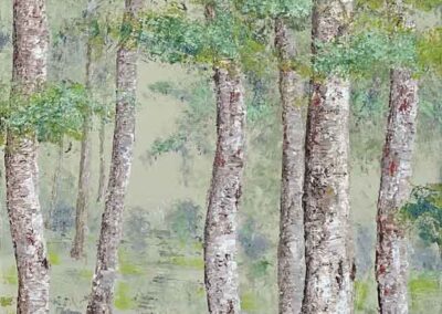ds605 Misty Silver Birches 16x40 2021 web