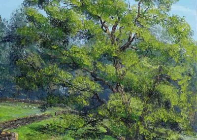 ds608 Ash Tree Wharfedale 30x40in 2021 £520