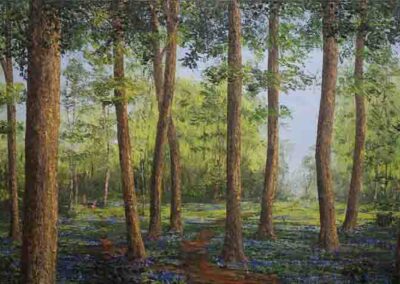 ds651 Bluebell Woods 6 48x24in 2022 SOLD