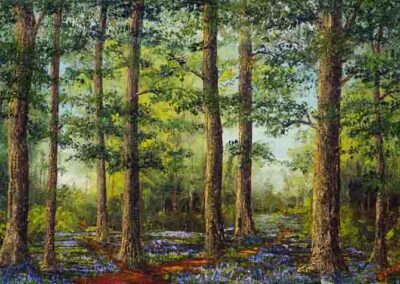 ds677 Bluebell Glade 1 36x24in 2023 £420