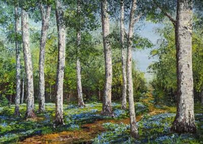 ds690 Woodland Spring Birches and Bluebells 48x24in 2023  £650