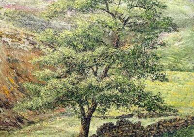 ds701-'Lone-Sycamore-Haworth-Moor' 40x30cm £580