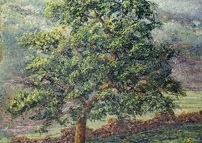 ds723 'Haworth Moor Lone Sycamore' 30x30in 2025 £380