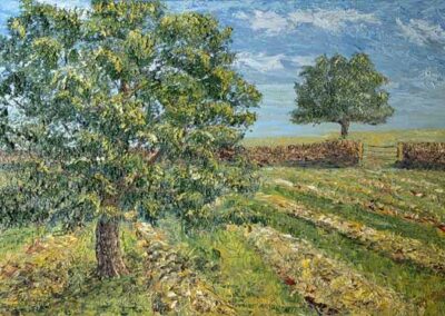 ds724 'Milner Mield Farm Ash and Oak' 36x24in 2025 £360