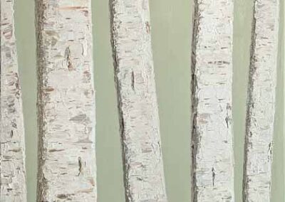 ds732 Silver Birches on Green. Oil. 20x30in 2026 £220